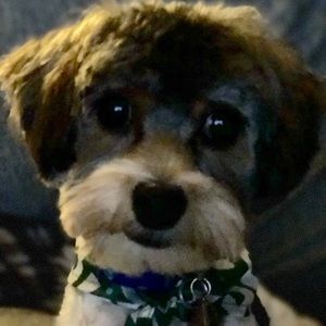 Meet your Posher, Sharon